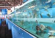 Peresmian Maluku Utara Agro-Marine Technopark